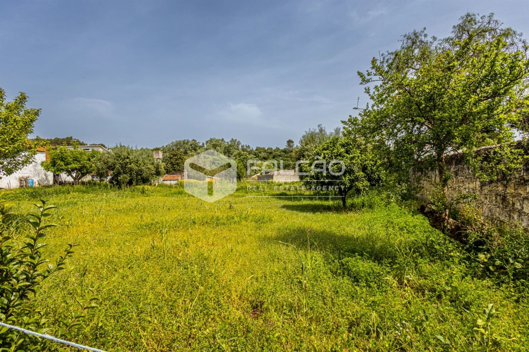 Moradia T3 para Venda em Achete, Azoia de Baixo e Póvoa de Santarém Foto 44