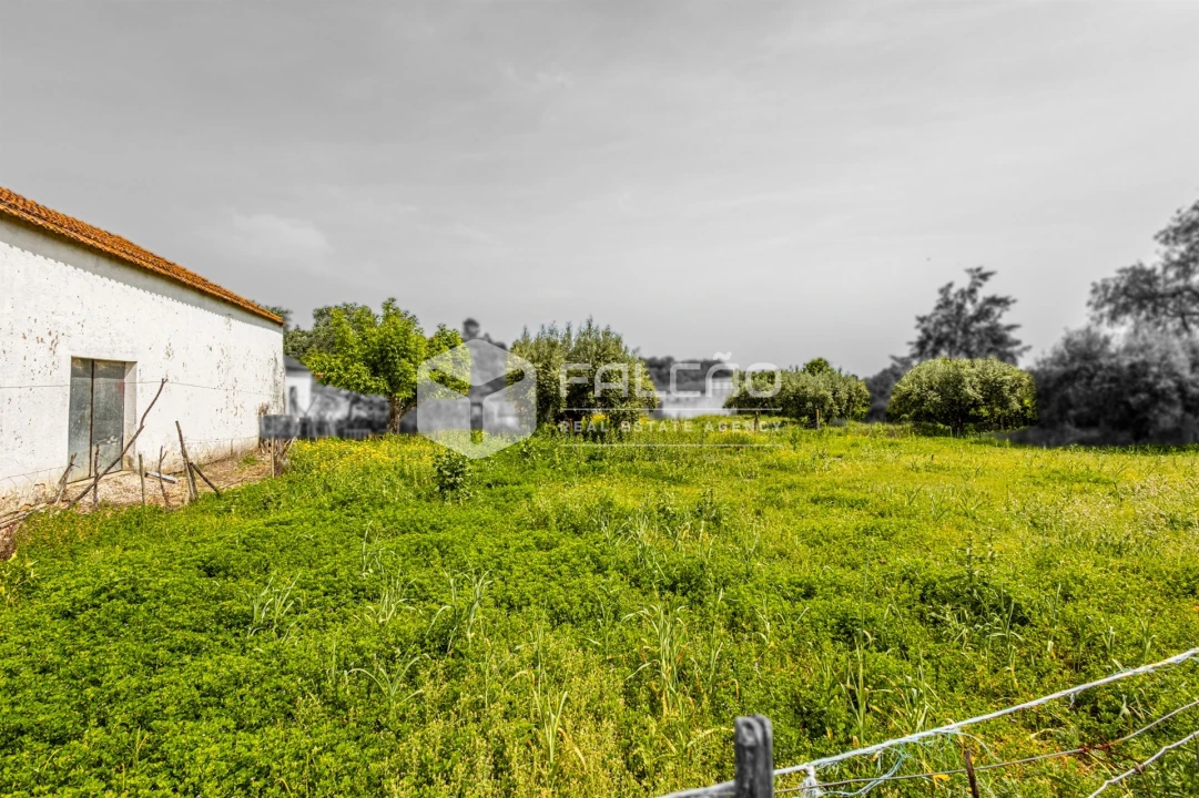 Moradia T3 para Venda em Achete, Azoia de Baixo e Póvoa de Santarém Foto 48