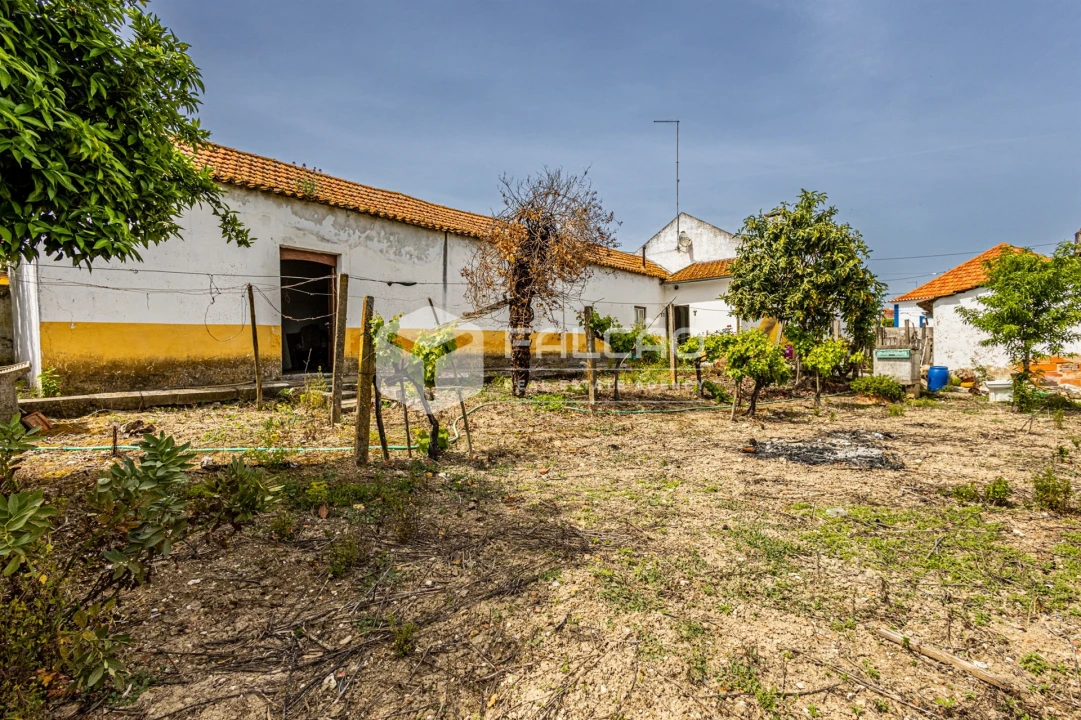 Moradia T3 para Venda em Achete, Azoia de Baixo e Póvoa de Santarém Foto 1