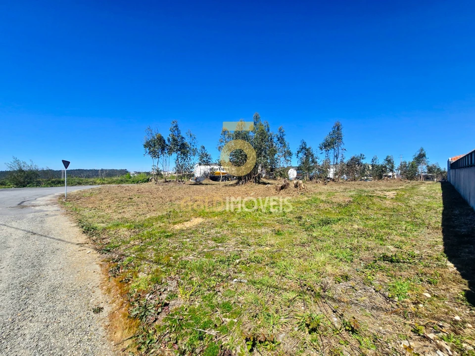 Terreno para Venda em Santa Maria da Feira, Travanca, Sanfins e Espargo Foto 9