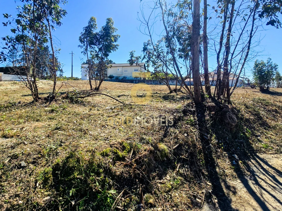 Terreno para Venda em Santa Maria da Feira, Travanca, Sanfins e Espargo Foto 5