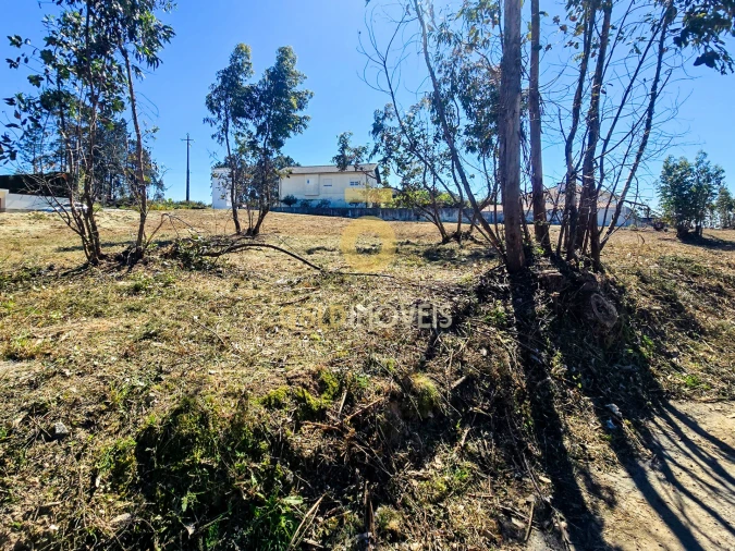 Terreno para Venda em Santa Maria da Feira, Travanca, Sanfins e Espargo Foto 5