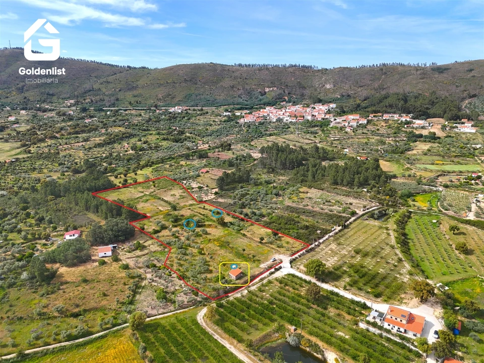 Quinta T0 para Venda em Vale de Prazeres e Mata da Rainha Foto 28