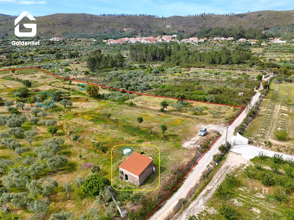 Quinta T0 para Venda em Vale de Prazeres e Mata da Rainha Foto 22