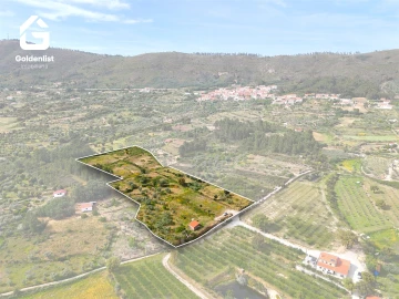 Quinta T0 para Venda em Vale de Prazeres e Mata da Rainha