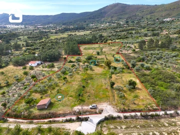 Quinta T0 para Venda em Vale de Prazeres e Mata da Rainha