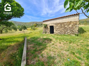 Quinta T0 para Venda em Vale de Prazeres e Mata da Rainha