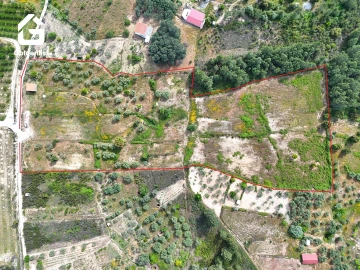 Quinta T0 para Venda em Vale de Prazeres e Mata da Rainha
