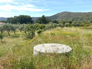 Quinta T0 para Venda em Vale de Prazeres e Mata da Rainha