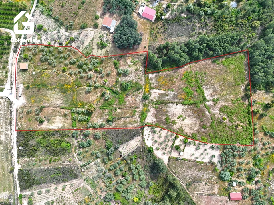 Quinta T0 para Venda em Vale de Prazeres e Mata da Rainha Foto 3