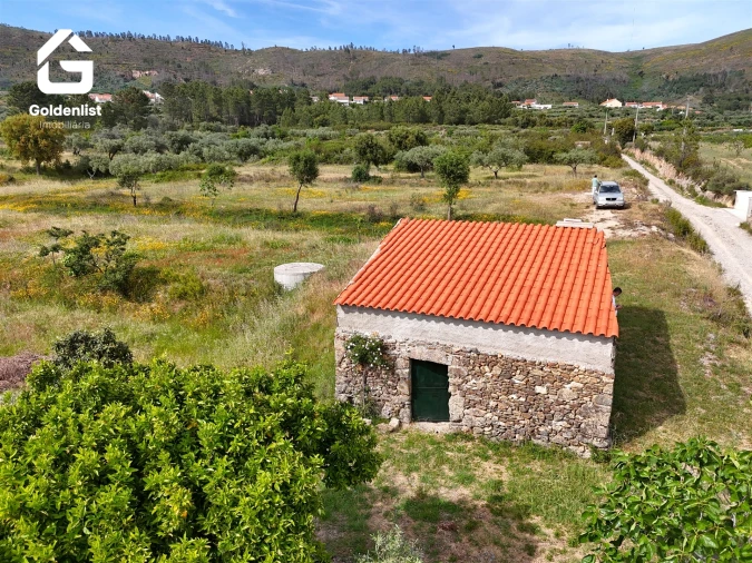 Quinta T0 para Venda em Vale de Prazeres e Mata da Rainha Foto 8