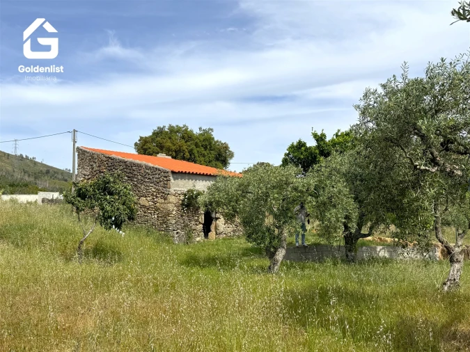 Quinta T0 para Venda em Vale de Prazeres e Mata da Rainha Foto 29