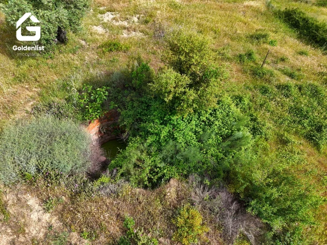 Quinta T0 para Venda em Vale de Prazeres e Mata da Rainha Foto 10