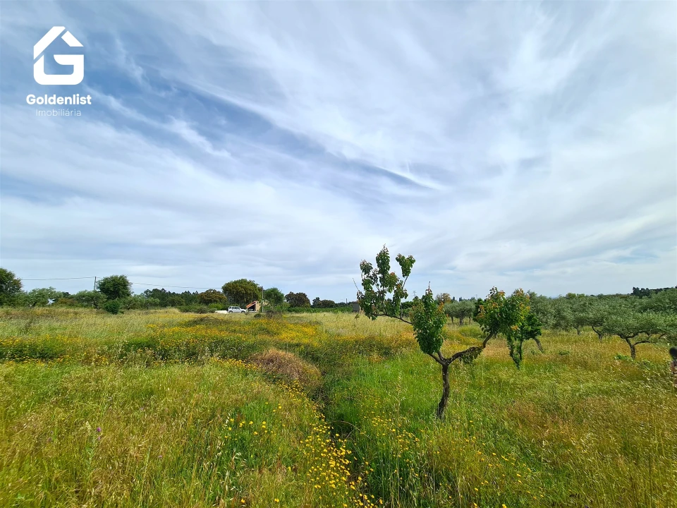 Quinta T0 para Venda em Vale de Prazeres e Mata da Rainha Foto 14