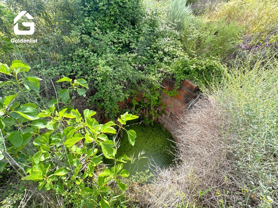 Quinta T0 para Venda em Vale de Prazeres e Mata da Rainha Foto 6