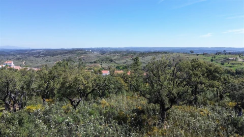 Terreno Agricola ou Rústico para Venda em Vila Velha de Rodão