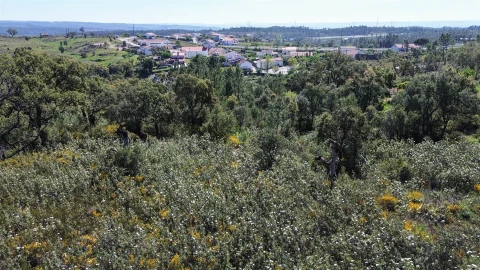 Terreno Agricola ou Rústico para Venda em Vila Velha de Rodão