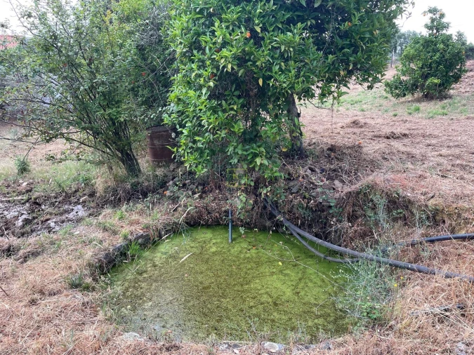 Terreno Agricola ou Rústico para Venda em Vila Velha de Rodão Foto 6