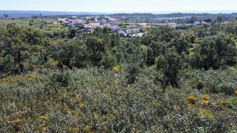 Terreno Agricola ou Rústico para Venda em Vila Velha de Rodão Foto 24