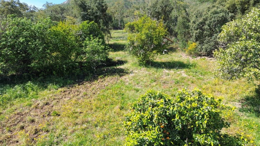 Terreno Agricola ou Rústico para Venda em Vila Velha de Rodão Foto 23