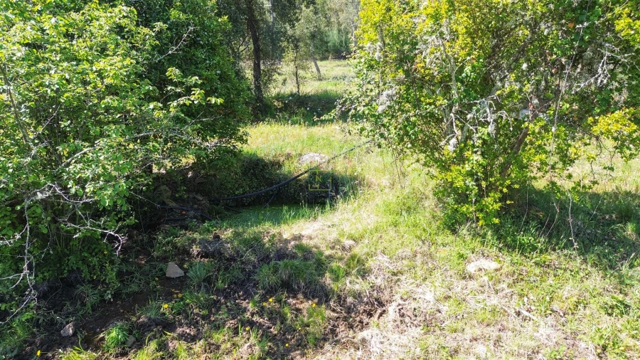 Terreno Agricola ou Rústico para Venda em Vila Velha de Rodão Foto 22