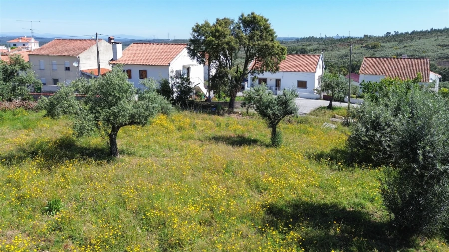Terreno Agricola ou Rústico para Venda em Vila Velha de Rodão Foto 14