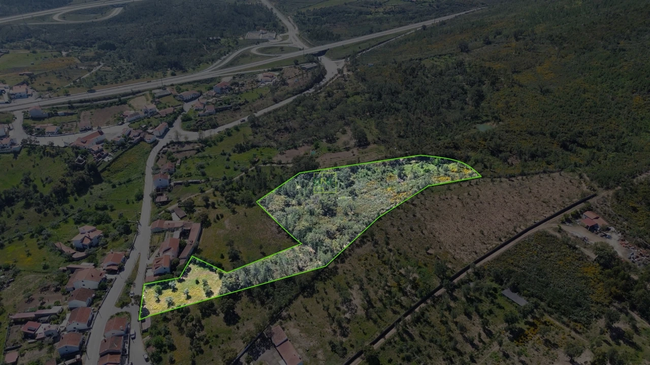 Terreno Agricola ou Rústico para Venda em Vila Velha de Rodão Foto 3
