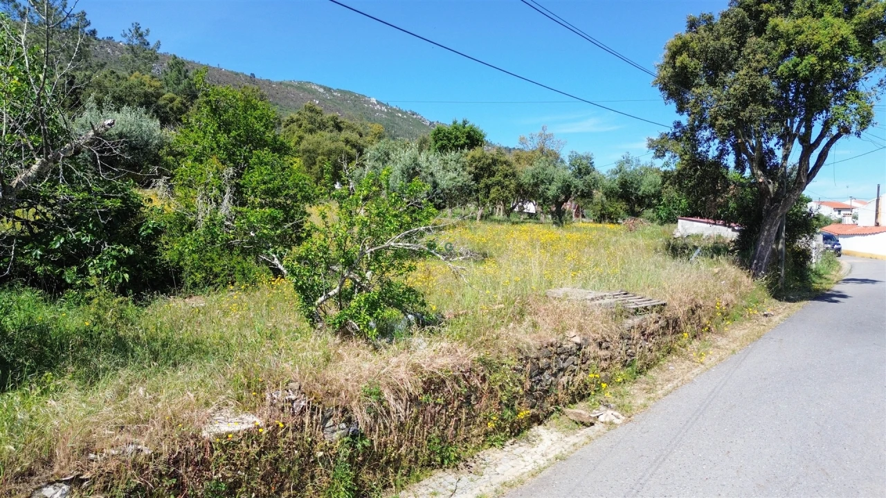 Terreno Agricola ou Rústico para Venda em Vila Velha de Rodão Foto 29
