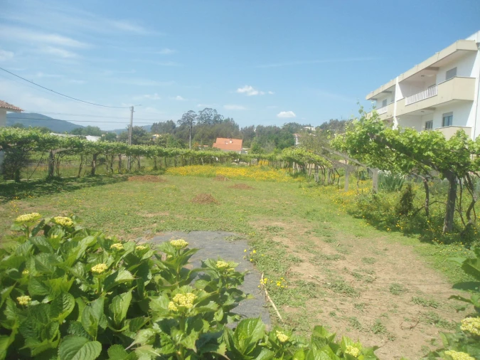 Terreno para Venda em Seixas Foto 5