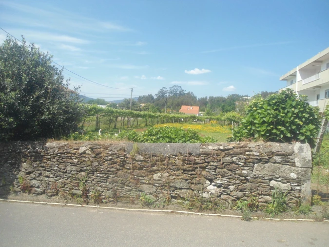 Terreno para Venda em Seixas Foto 7
