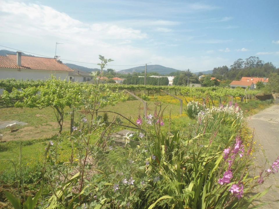 Terreno para Venda em Seixas Foto 1