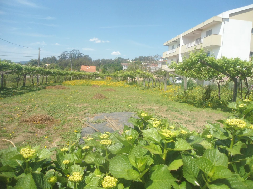 Terreno para Venda em Seixas Foto 8
