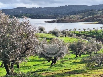 Terreno para Venda em Amieira e Alqueva