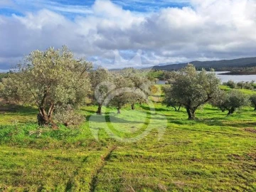 Terreno para Venda em Amieira e Alqueva