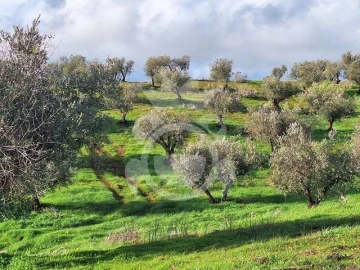 Terreno para Venda em Amieira e Alqueva