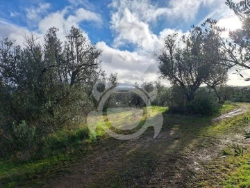 Terreno para Venda em Amieira e Alqueva