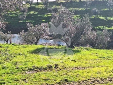 Terreno para Venda em Amieira e Alqueva