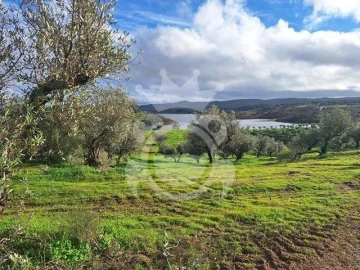 Terreno para Venda em Amieira e Alqueva