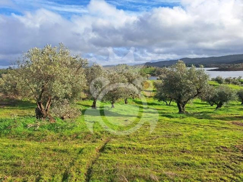 Terreno para Venda em Amieira e Alqueva Foto 6