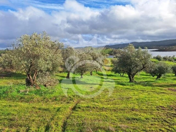 Terreno para Venda em Amieira e Alqueva Foto 6