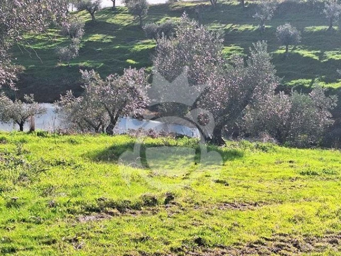 Terreno para Venda em Amieira e Alqueva Foto 4