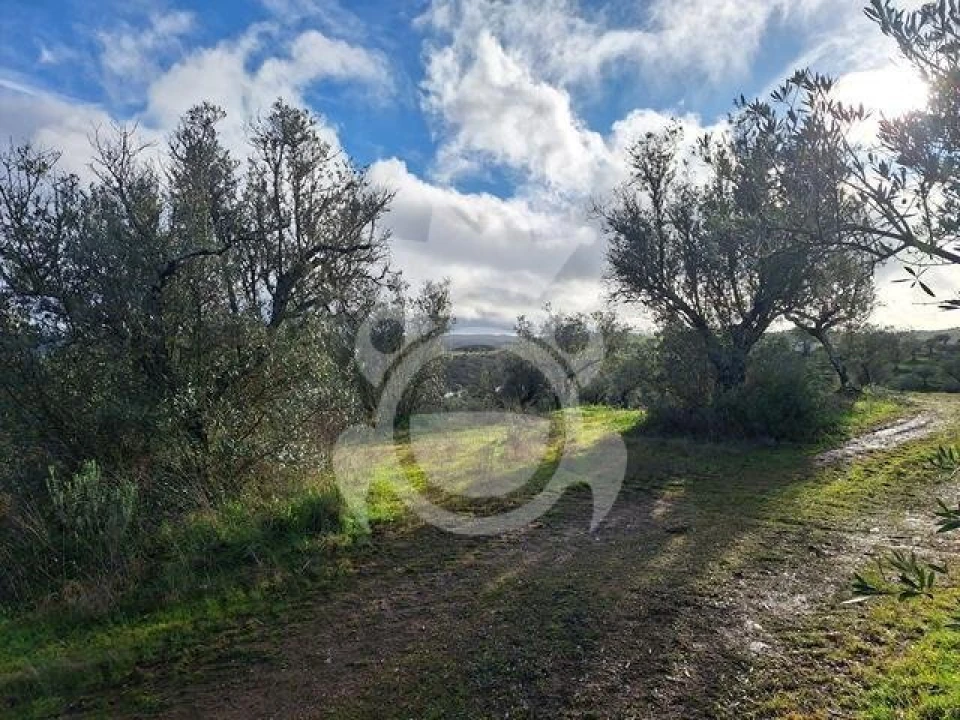 Terreno para Venda em Amieira e Alqueva Foto 9