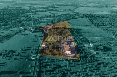 Quinta T5 para Venda em Redondo
