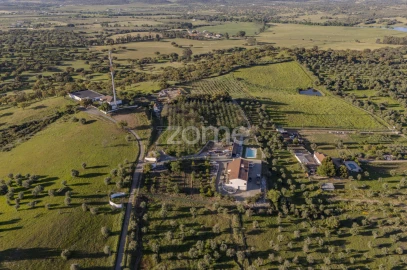 Quinta T5 para Venda em Redondo