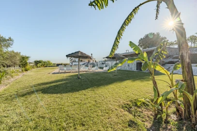 Quinta T5 para Venda em Redondo