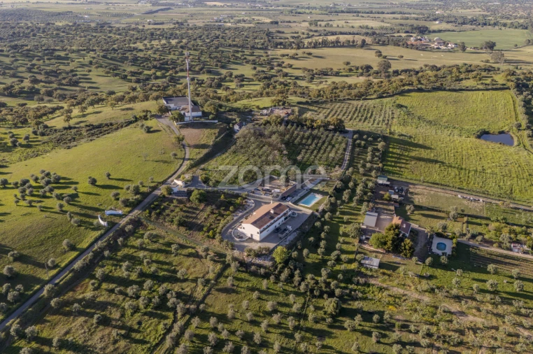 Quinta T5 para Venda em Redondo Foto 4