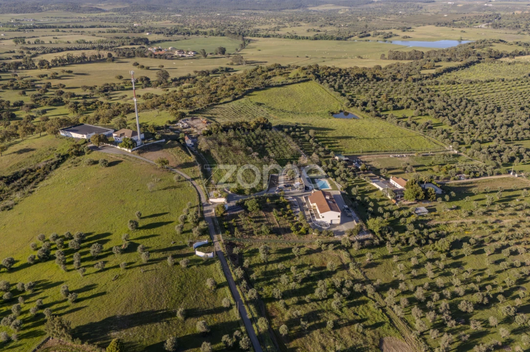 Quinta T5 para Venda em Redondo Foto 5