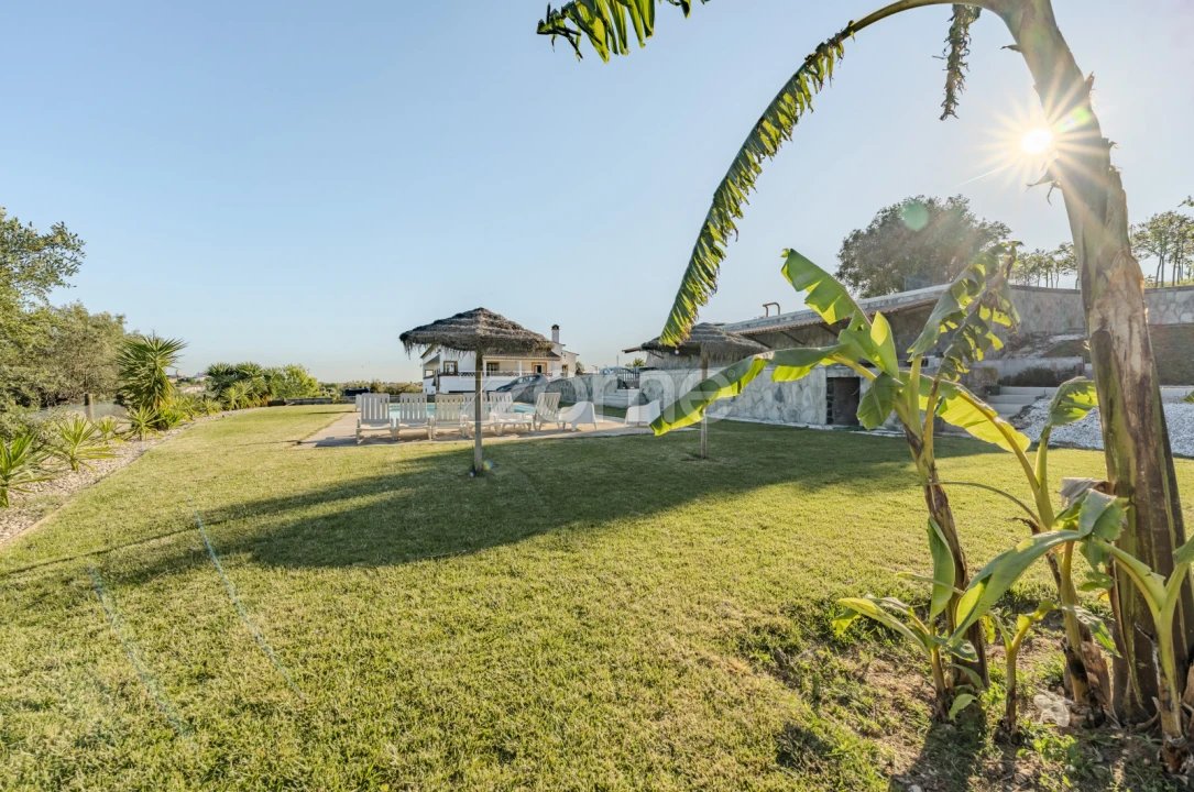 Quinta T5 para Venda em Redondo Foto 59