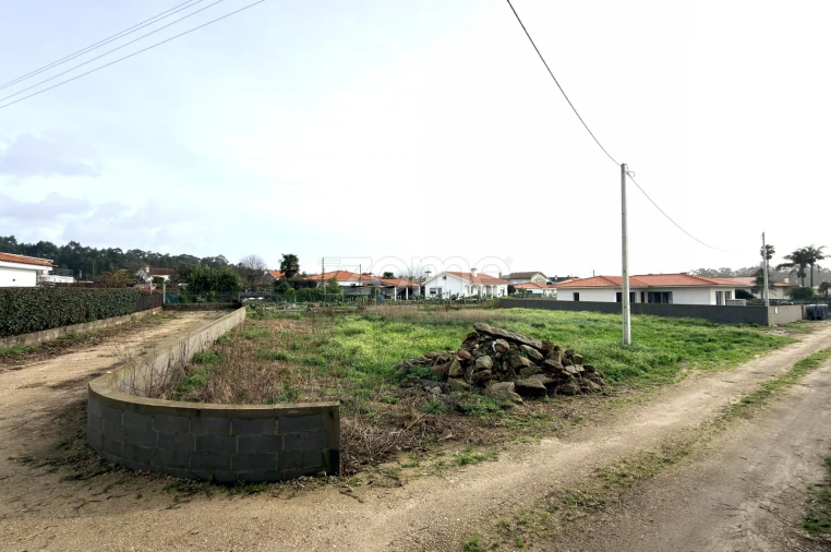 Moradia T3 para Venda em Silva Foto 17