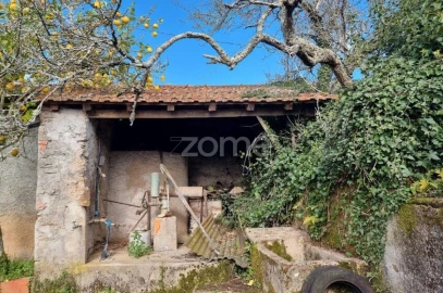 Moradia T3 para Venda em Cercosa